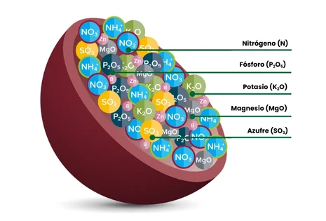 Gránulos de fertilizante Nitrofoska