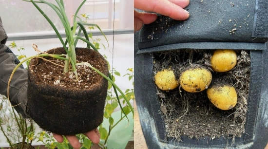 Macetas de tela geotextil: Guía práctica de usos y beneficios