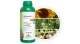 Insecticida Orgánico con Ajo y Orégano Organ Oil – 1 Litro