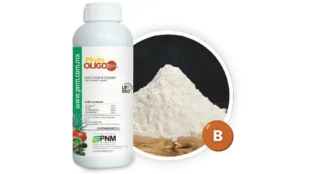 Fertilizante Foliar con Boro Phyto Oligo Boro 1 L