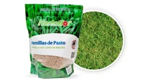 Pasto para Terreno Seco Bolsa de 1 LB