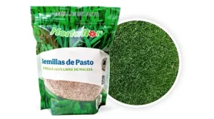 Pasto para Tránsito Pesado y Campos Deportivos Bolsa de 500 g.