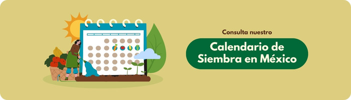 Calendario de siembra