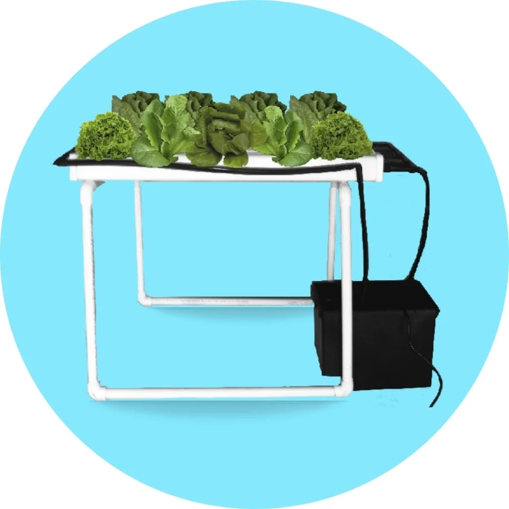 Sistema NFT para cultivo de lechuga 