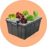 Sistema de Raíz Flotante