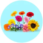 Semillas de Flores para sembrar