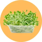 Semillas para microgreens