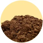 Peat moss