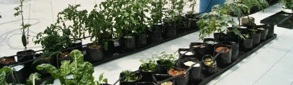 Canaletas hidropónicas para bolsas de cultivo