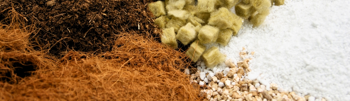 Comparativa Técnica de Sustratos para Germinación: Vermiculita, Perlita, Peat Moss y Espuma Fenólica.