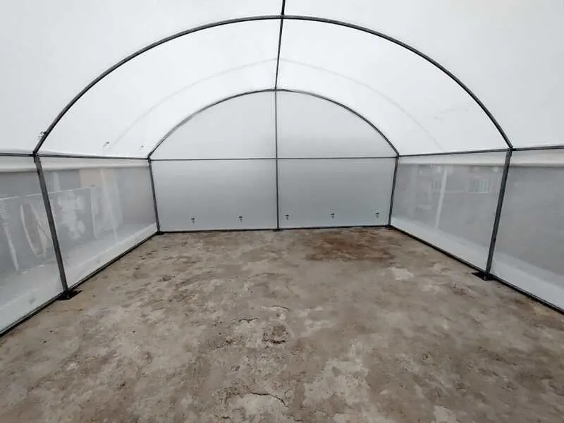 Invernadero Hidropónico Tipo Túnel 5x12 m vista desde el interior