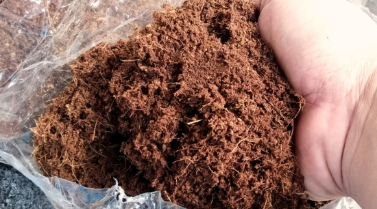 Acondicionamiento de la fibra de coco para cultivo de marihuana