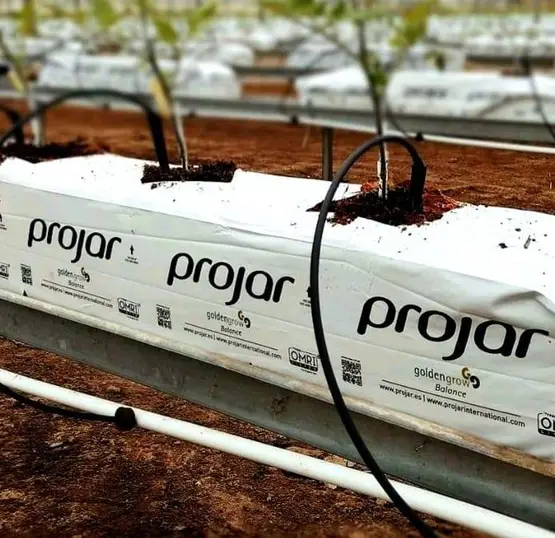 Riego durante acondicionamiento de la fibra de coco