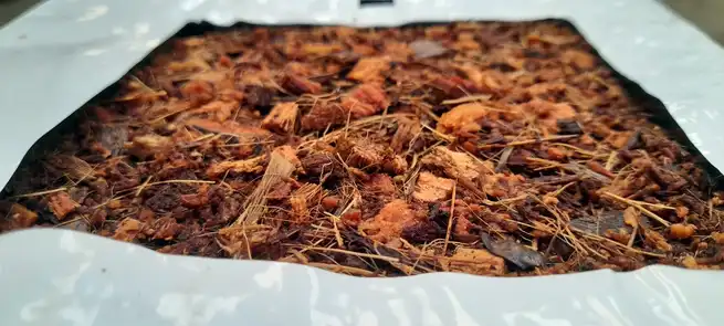 Acondicionamiento de la fibra de coco y cortes de slab