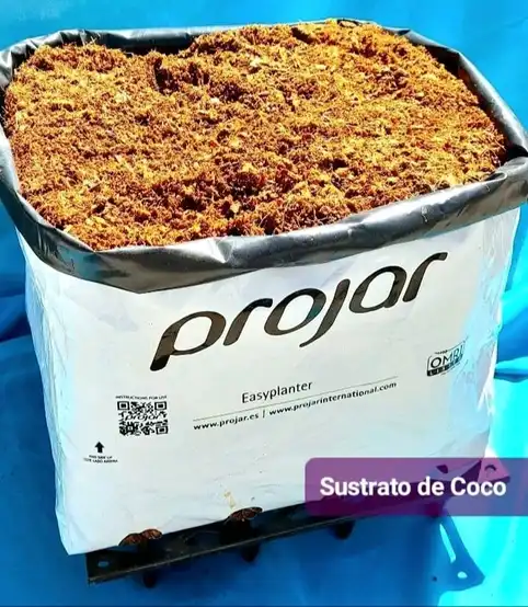 Acondicionamiento de la fibra de coco para cultivo