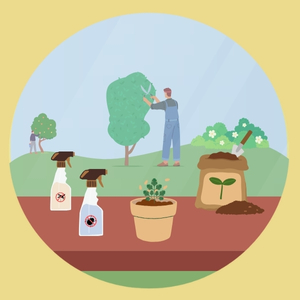 Cuidado de las Plantas portada