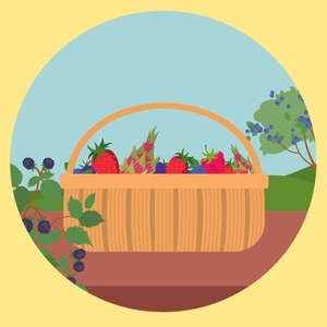 Cultivo_de_Berries_portada