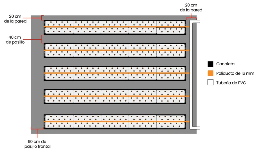 Arreglo del cultivo de fresa