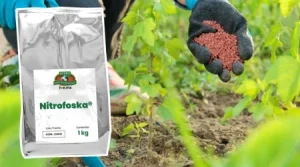 Nitrofoska_1kg_producto