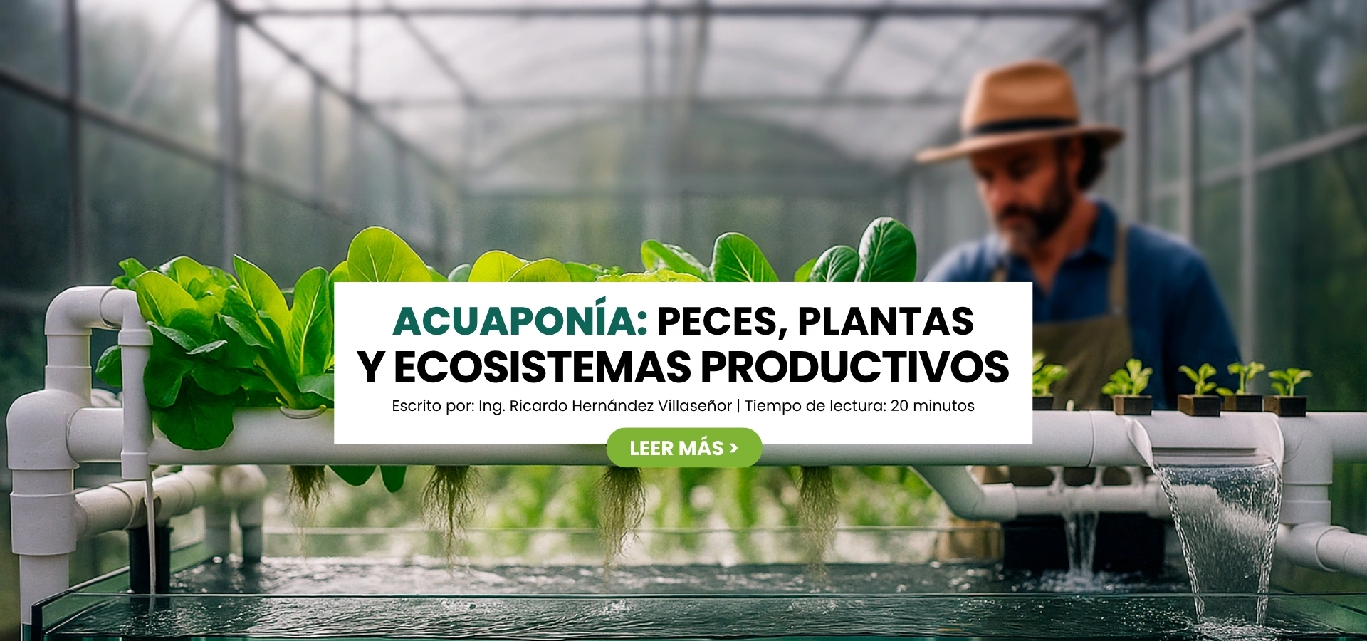 Acuaponia: peces, plantas y ecosistemas