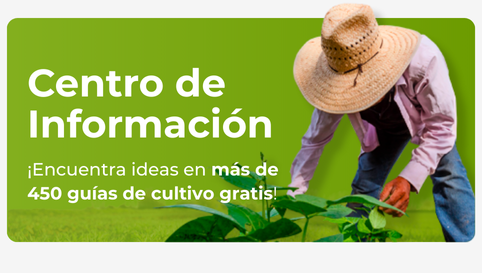 Centro_de_Informacion_Hydro_Environment