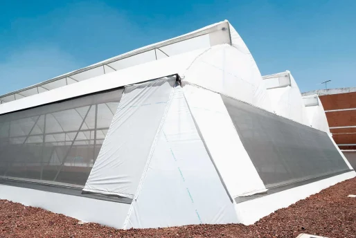 DSC00328 Invernadero paredes laterales diagonales