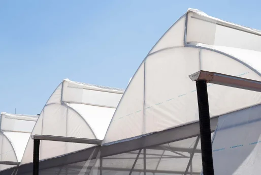 DSC00334 Sistema de captación de agua pluvial