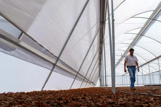DSC00359 Cortinas laterales diagonales con apertura manual