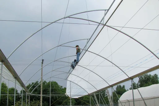 IMG_1013 cubierta de plastico blanco lechoso invernadero cenital