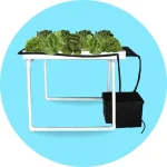 NFT Nutrient Film Technique