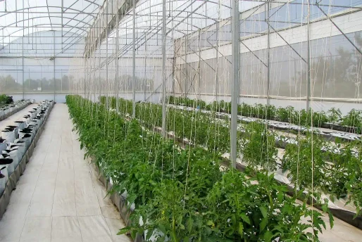 itzel-004 Sistema de tutoreo