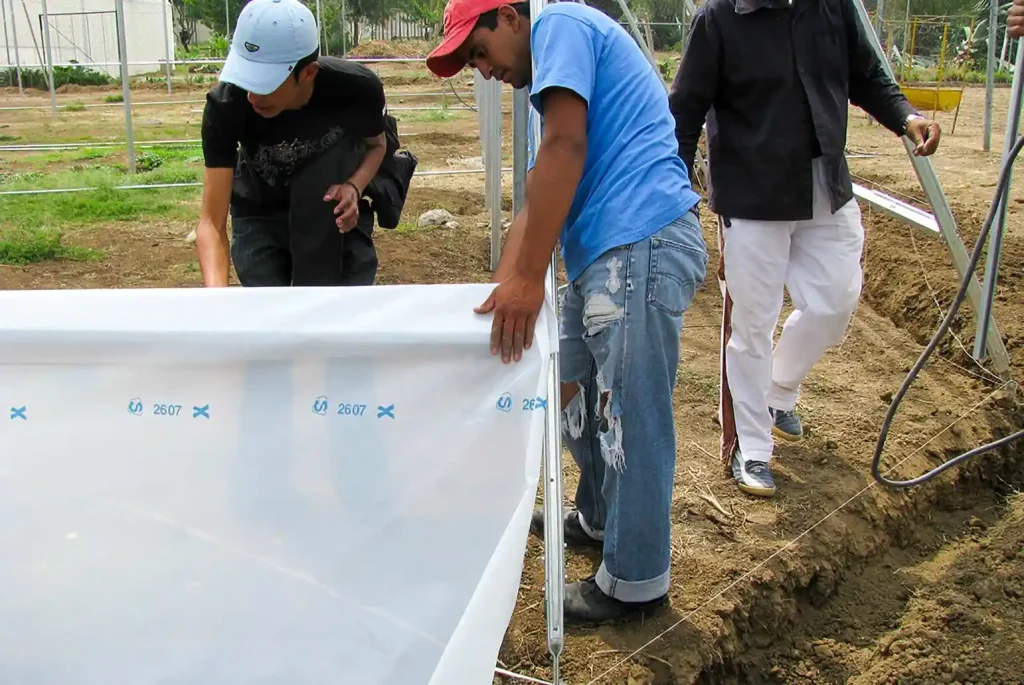 Invernadero cenital vista 5