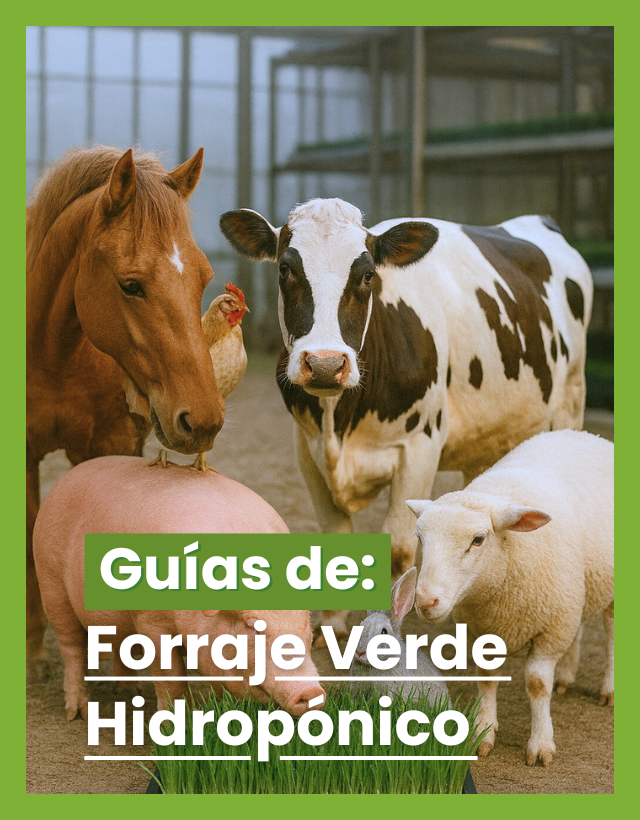 Guías de forraje verde hidropónico