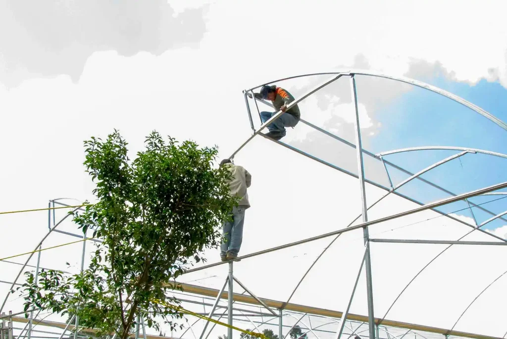 Invernadero cenital vista 9