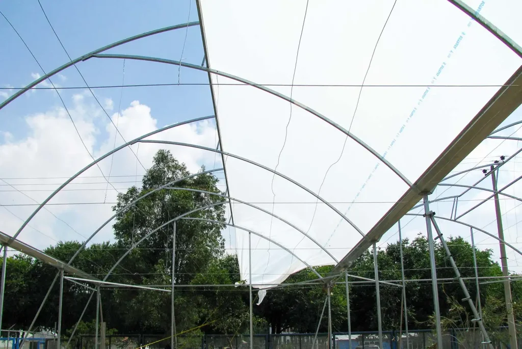 Invernadero cenital vista 11