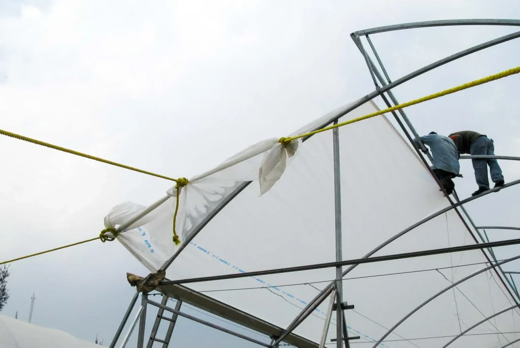 Invernadero cenital vista 12