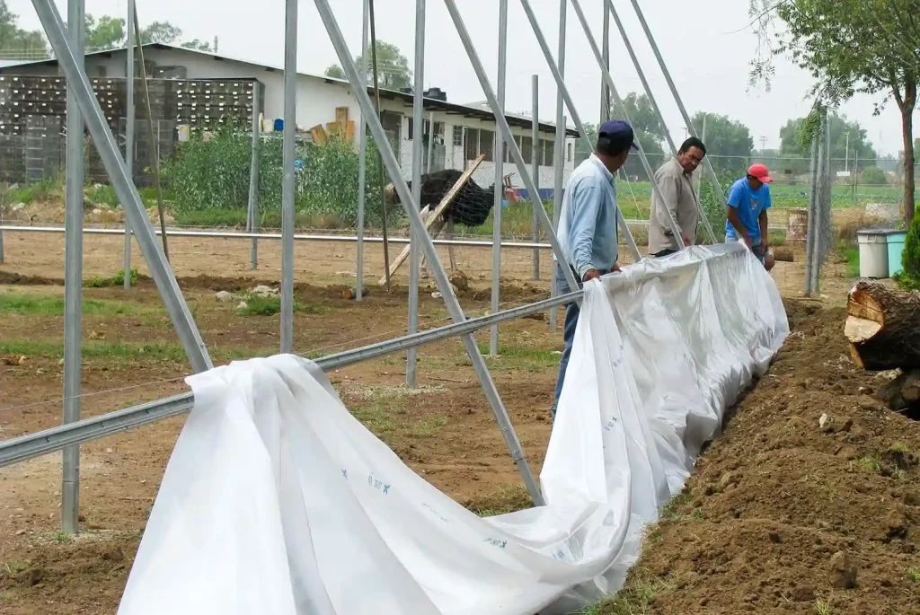 Invernadero cenital vista 13