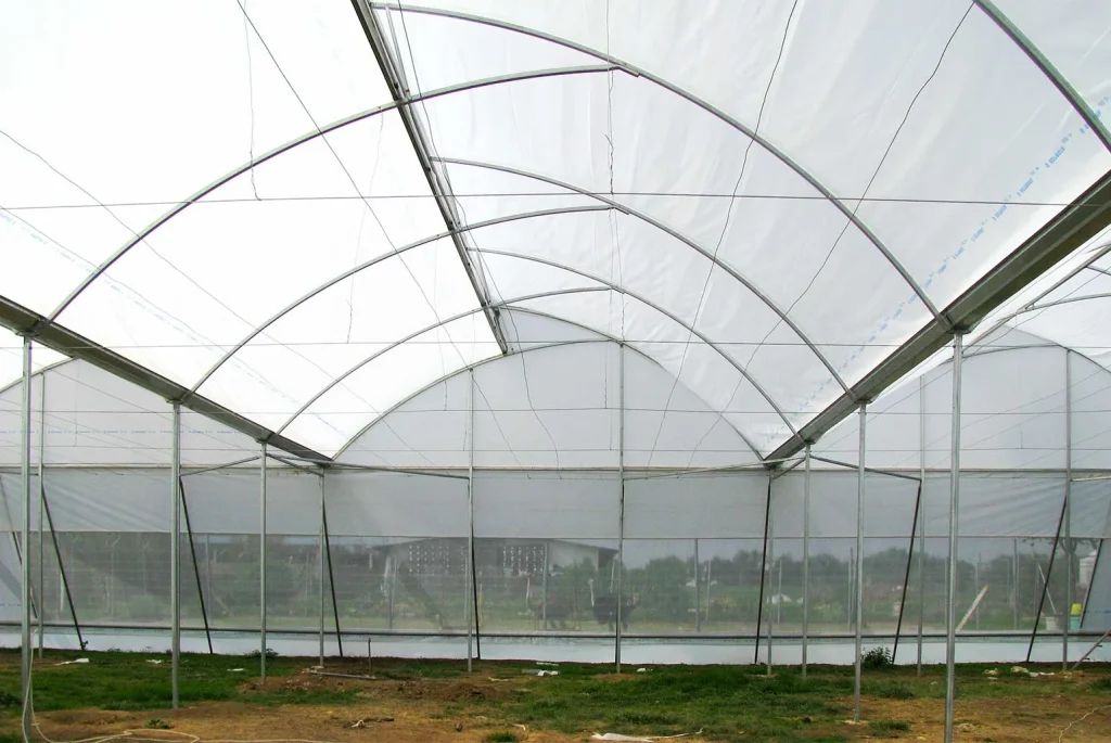 Invernadero cenital vista 16