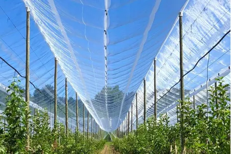 Mallas agrícolas anti granizo 