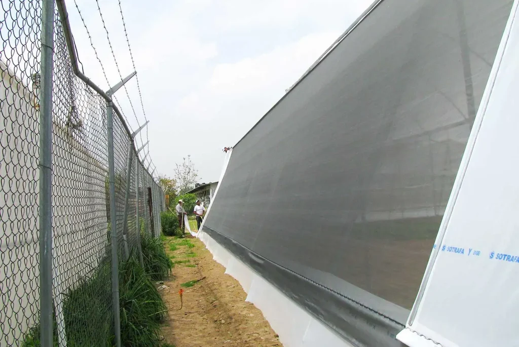 Invernadero cenital vista 28