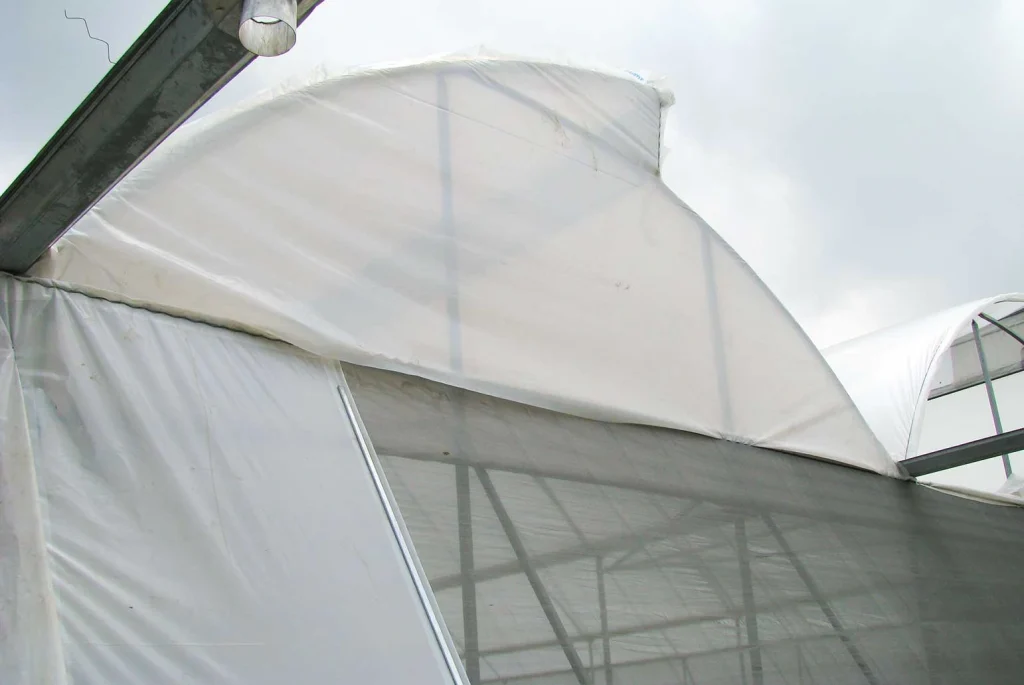 Invernadero cenital vista 30