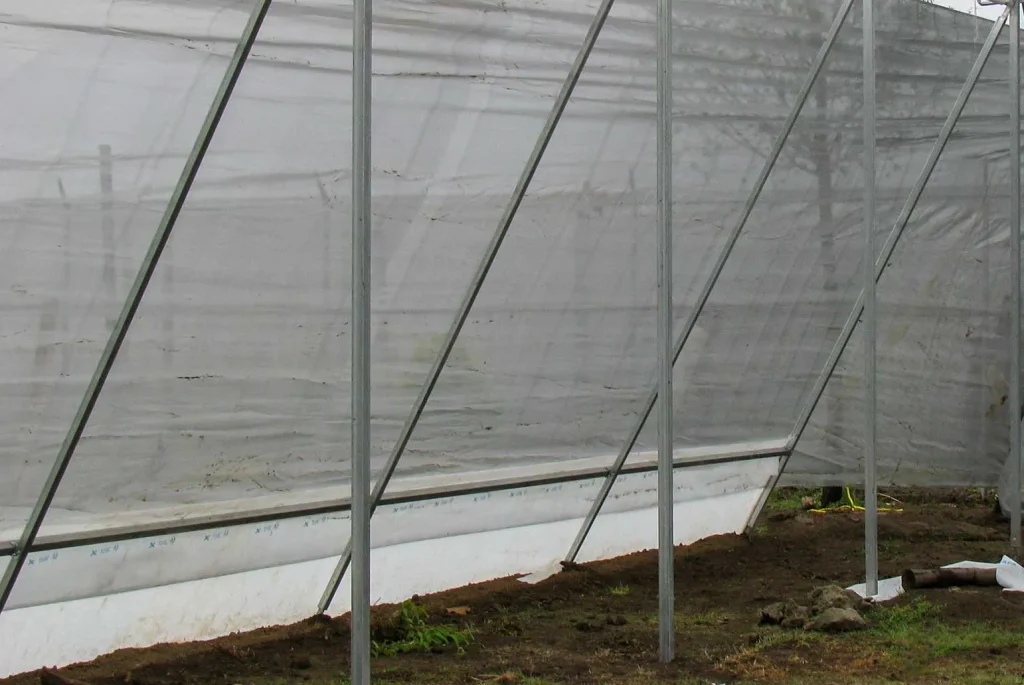 Invernadero cenital vista 33