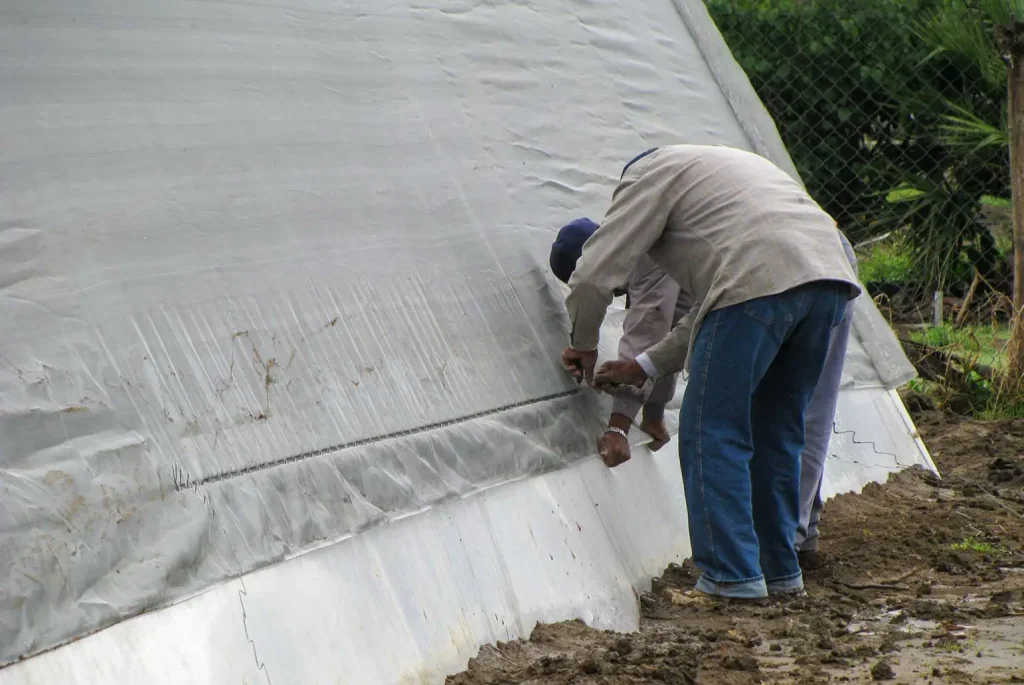 Invernadero cenital vista 34