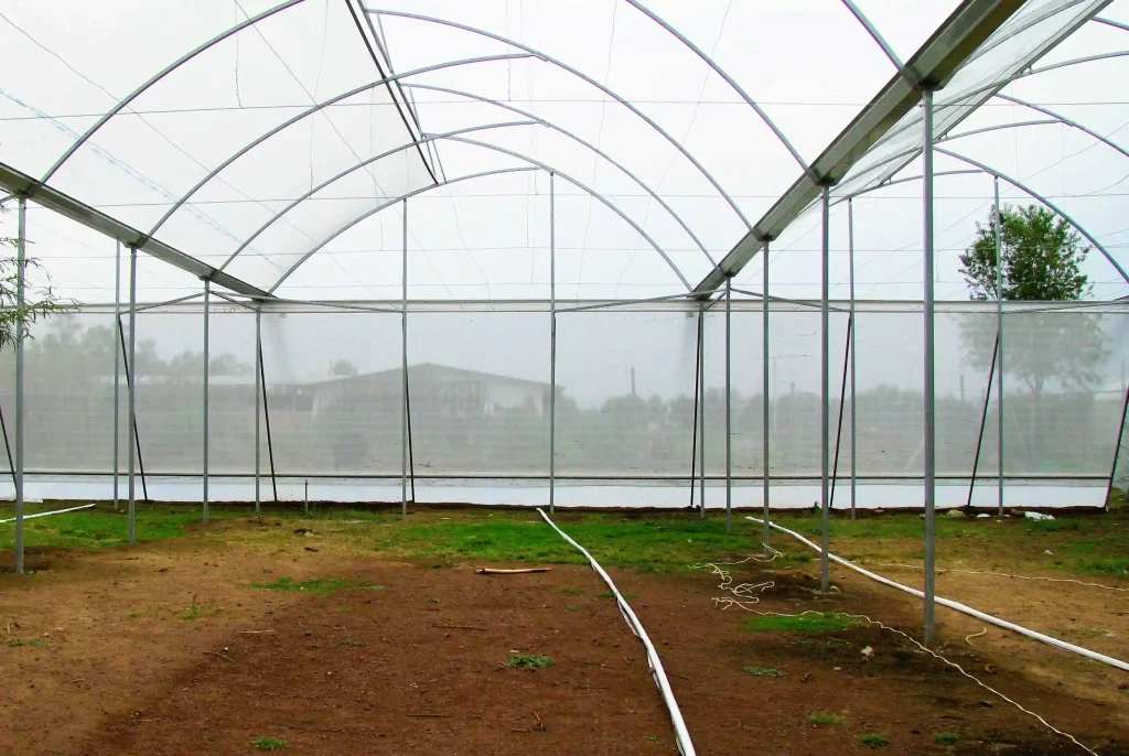 Invernadero cenital vista 35