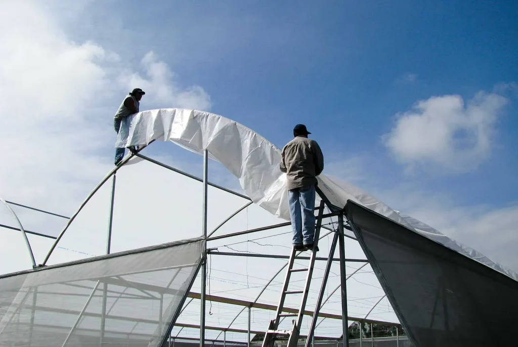 Invernadero cenital vista 37