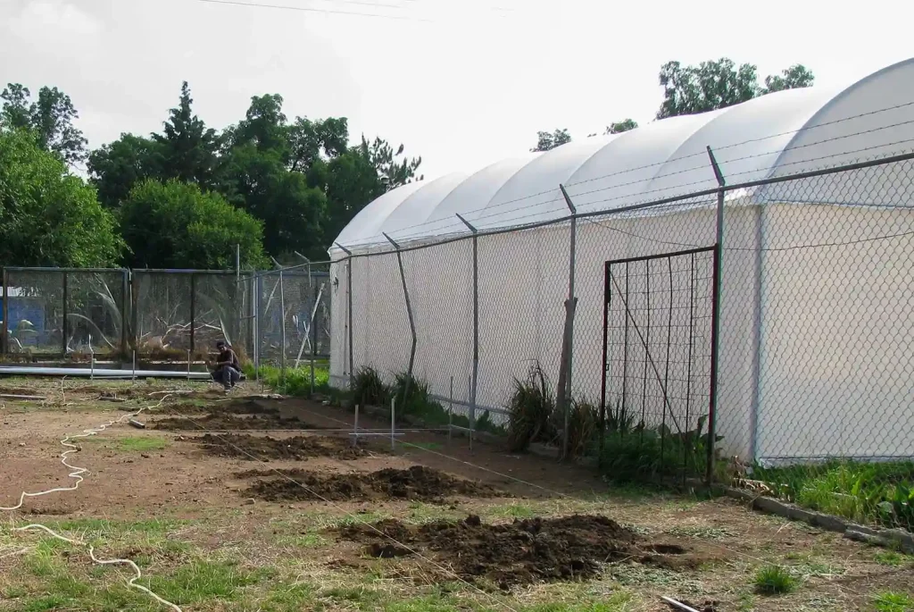 Invernadero cenital vista 19