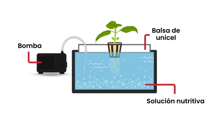 Cultivo_en_Hidroponia_Raiz_Flotante_Esquema