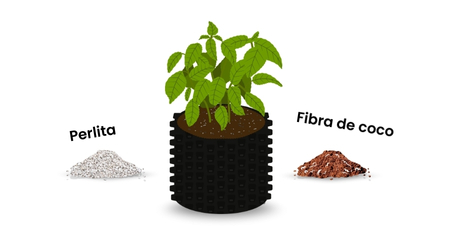 Cultivo_en_Hidroponía_Sustrato_Esquema