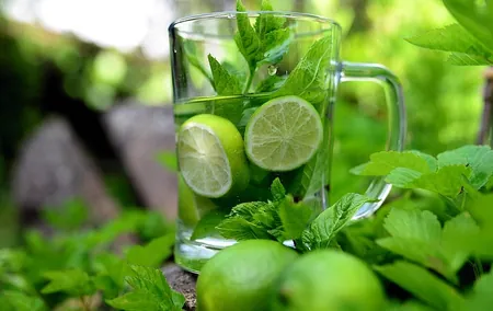 beneficios del consumo de menta piperita