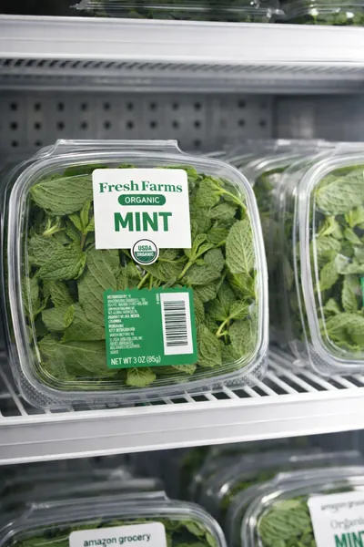 empaque de hojas de menta para su comercializacion y almacenaje